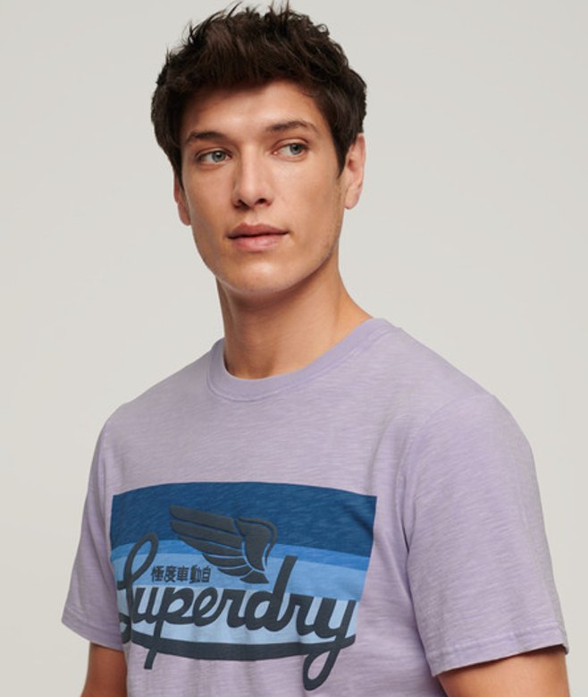 Gestreept Cali T-shirt met Logo Paars Grootte: L afbeelding
