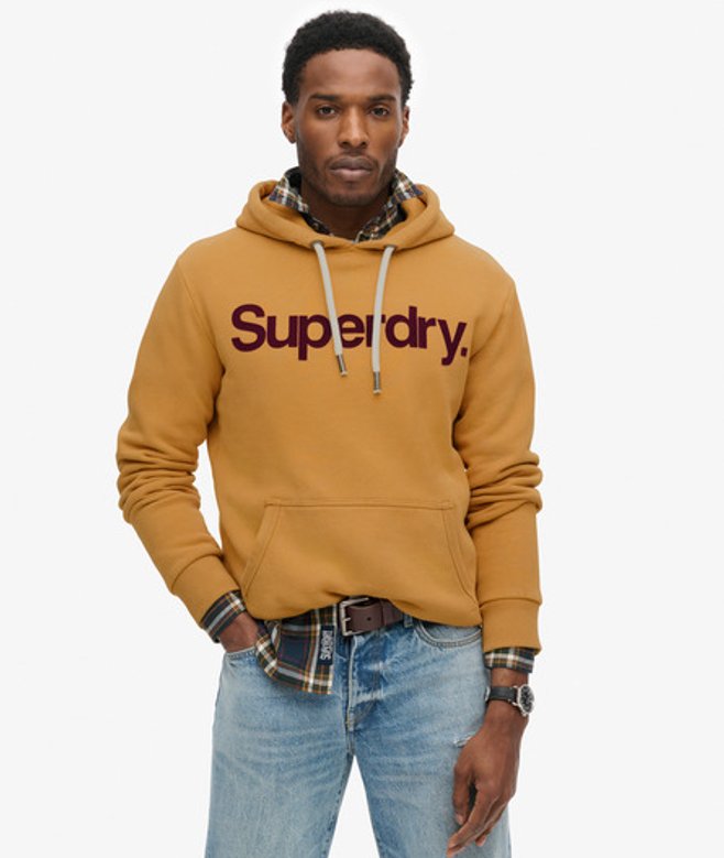 Superdry Klassieke Hoodie met Core-logo Goud