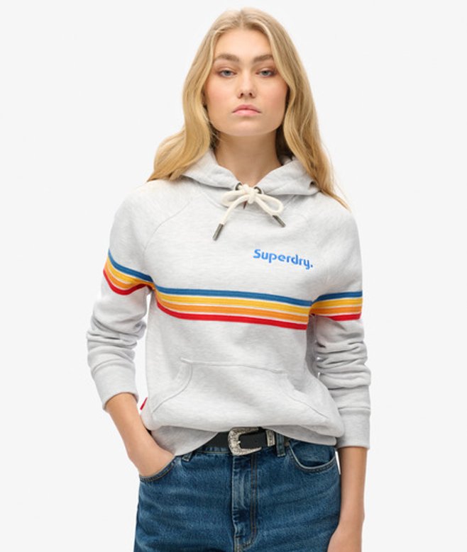 Rainbow Stripe Hoodie met Logo