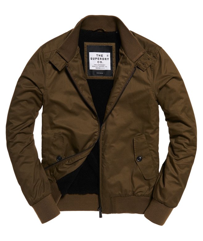 Winter Rogue Harrington