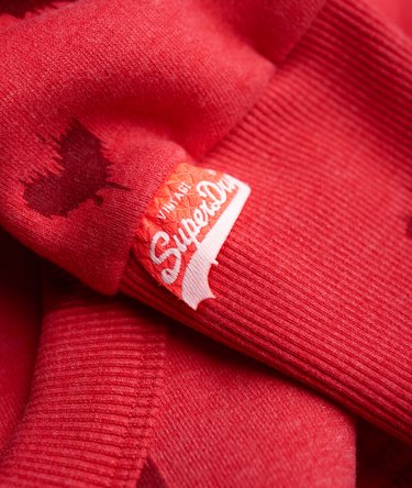 Sweat à capuche Vintage Logo All Over Print Image 7