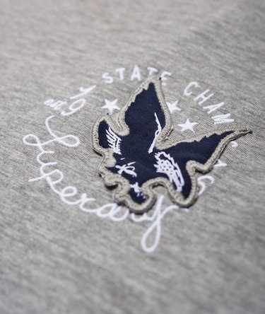 Eagle Champs Embroidery Ringer Boxy T-Shirt Image 7