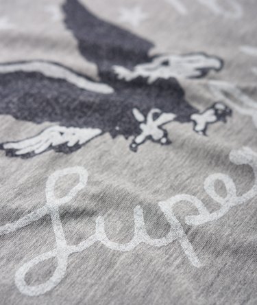 Eagle Champs Embroidery Ringer Boxy T-Shirt Image 8