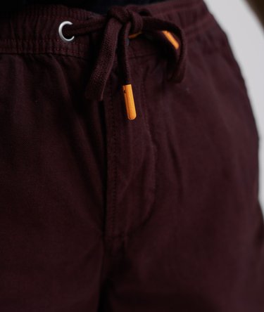 Sunscorched Shorts Image 5