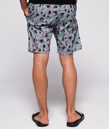 Sunscorched Shorts Image 3