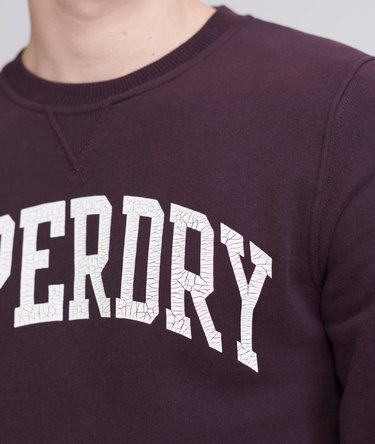 Classic Varsity Sweatshirt Image 5
