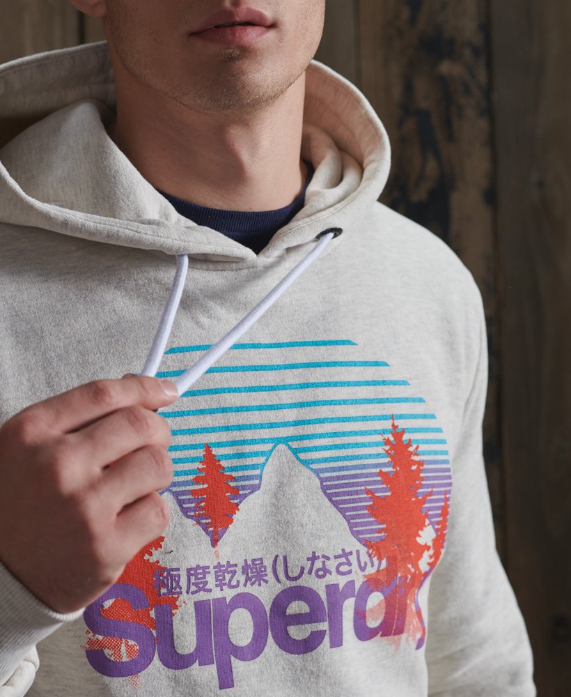 mens Core Logo Wilderness Hoodie in MCQUEEN MARL | Superdry US