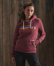 Core Logo Vintage Stripe Hoodie