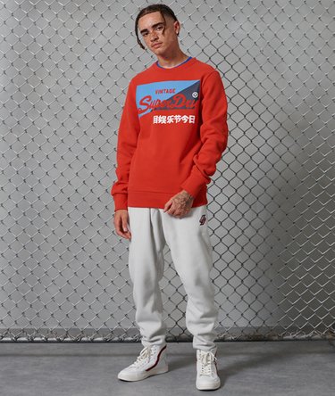 Vintage Logo Primary Crew Brushed Sweatshirt Image 2