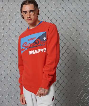 Vintage Logo Primary Crew Brushed Sweatshirt Image 1