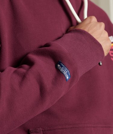 Tri Classics Hoodie Image 3