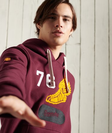 Collegiate State Hoodie Image 3