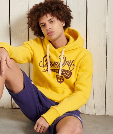 Collegiate Graphic Overhead Hoodie Image 3