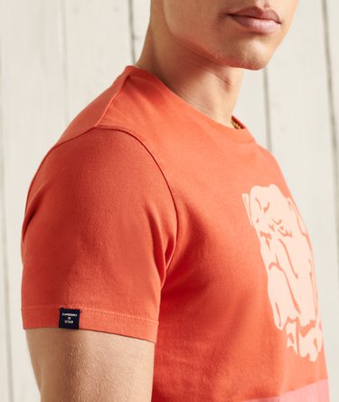 Overdye Collegiate State T-Shirt Image 3