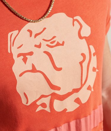 Overdye Collegiate State T-Shirt Image 4