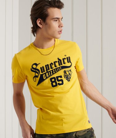 Lekki T-shirt z nadrukiem Collegiate Image 1