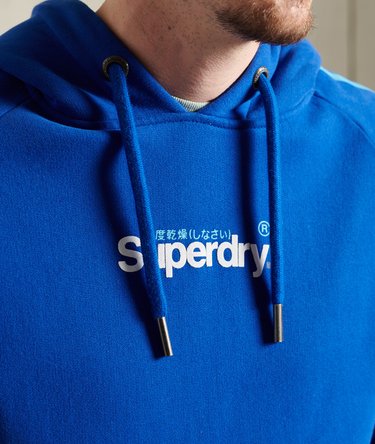 Cali Sleeve Stripe Core Logo Hoodie Image 6