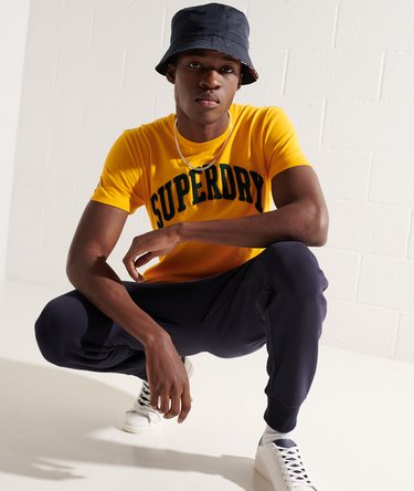 Varsity Arch Mono T-Shirt Image 1