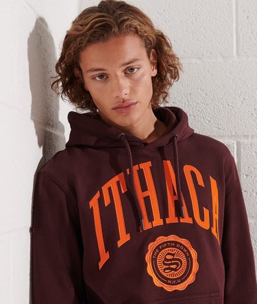 Sudadera con capucha y gráfico College Image 4