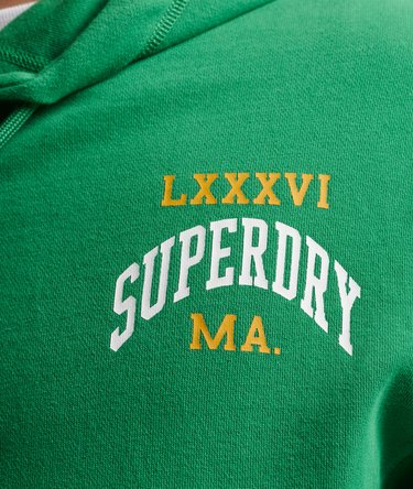 College Varsity Arch Mono Hoodie Image 6