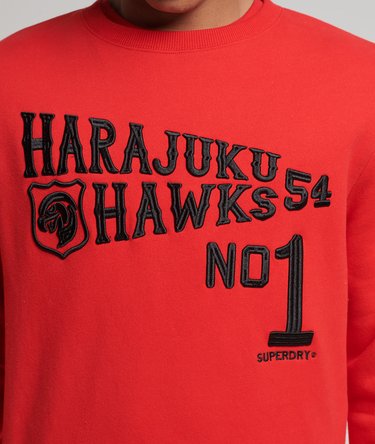 Vintage Collegiate Crew Sweatshirt Image 2