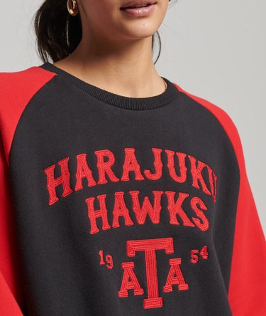 Vintage Collegiate Raglan Crew Sweatshirt Image 3