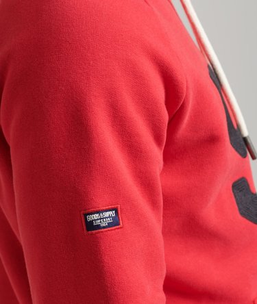 Vintage Logo American Classics Raglan Hoodie Image 5