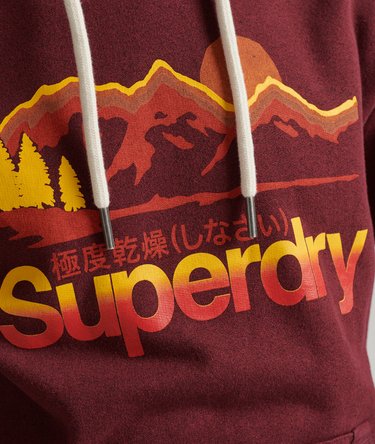 Vintage Core Logo Great Outdoors Hoodie Image 4