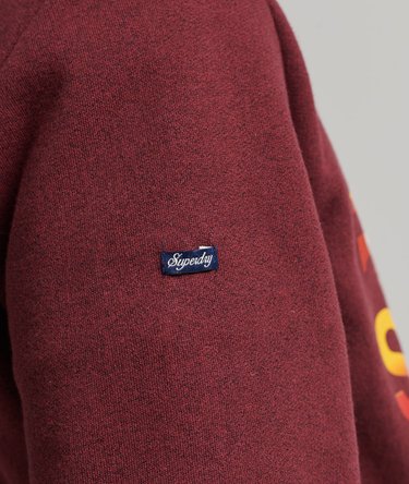 Vintage Core Logo Great Outdoors Hoodie Image 5