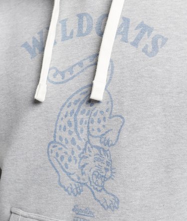 Collegiate Hoodie Image 4
