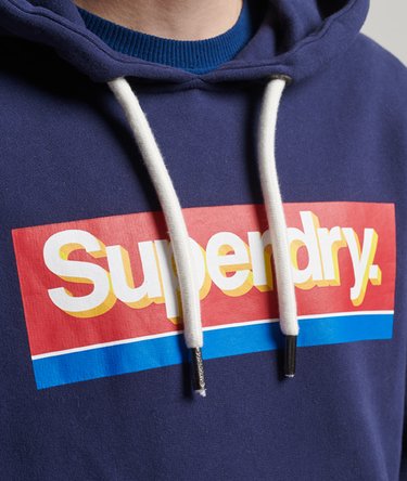 Sweat à capuche Vintage Core Logo Seasonal Image 3