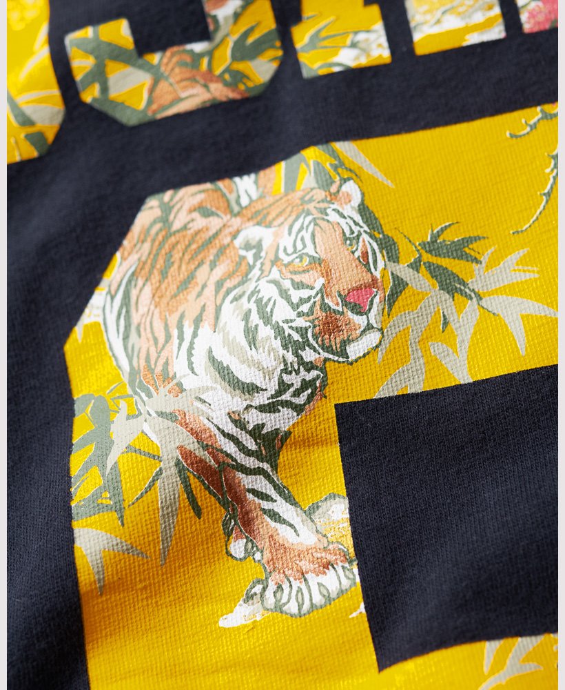 upload9223368955666344829.jpg?