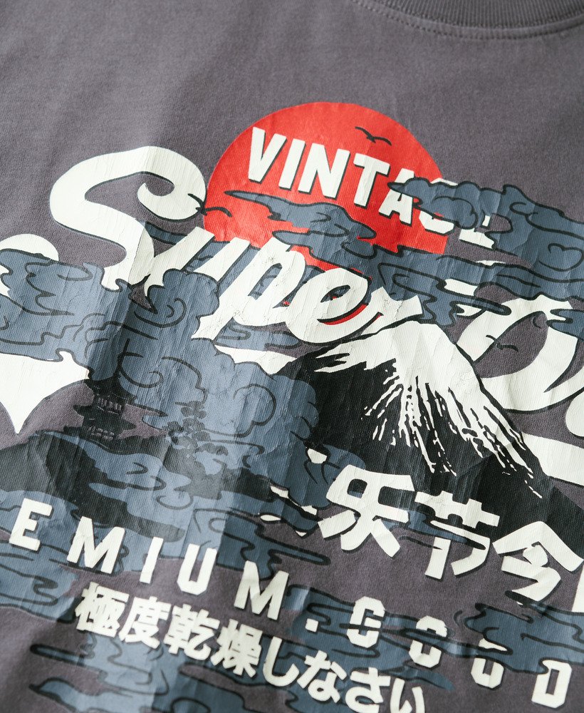 mens Tokyo Graphic T-Shirt in DARK GREY | Superdry US