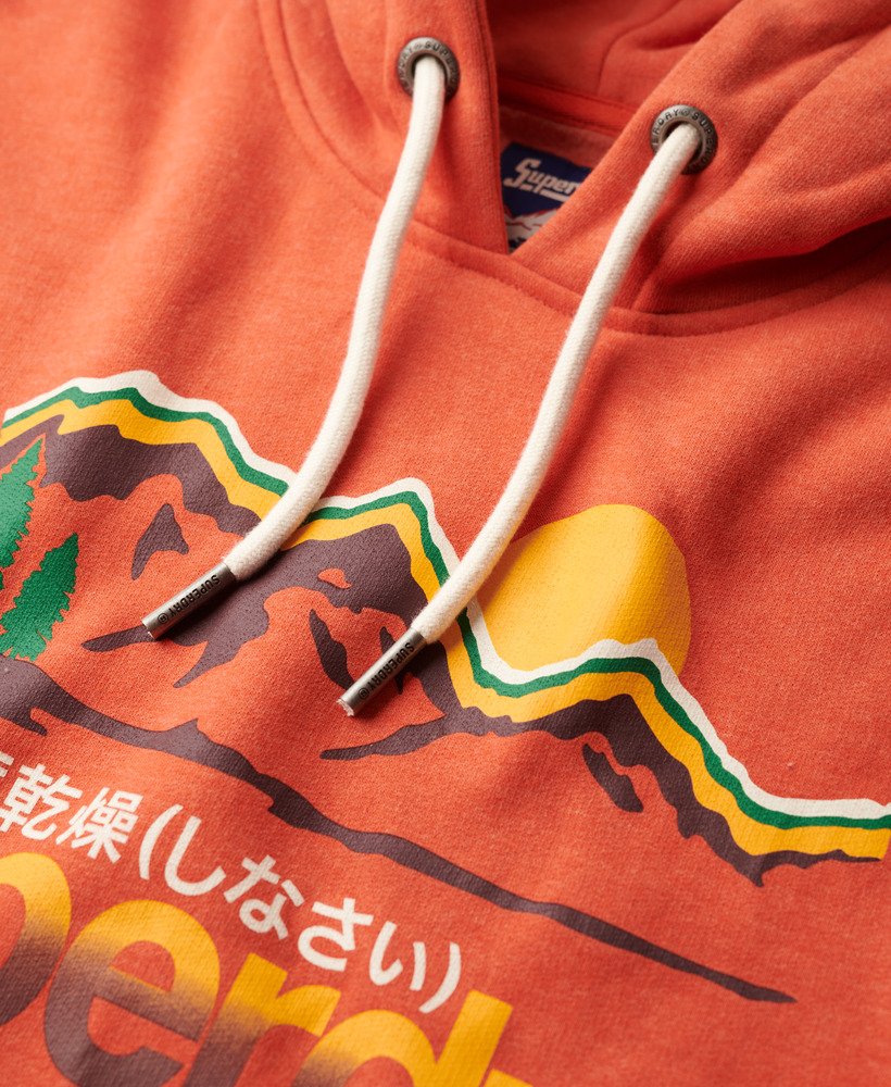 upload9223368955666553394.jpg?