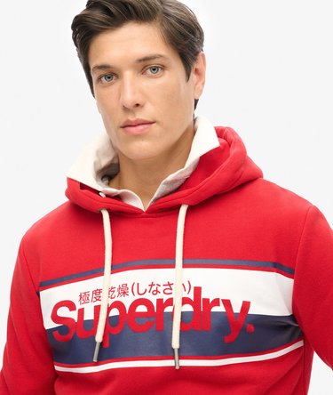 Core Logo Stripe Hoodie Image 3