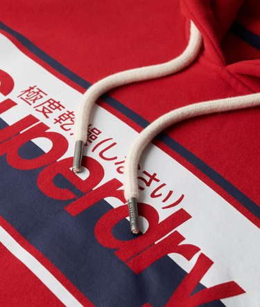 Core Logo Stripe Hoodie Image 5