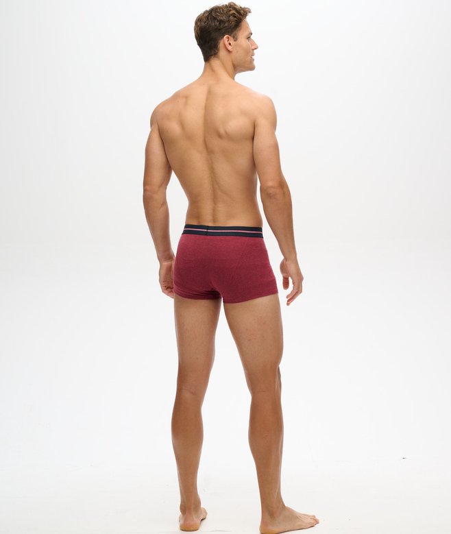 Organic Cotton Trunk Triple Pack