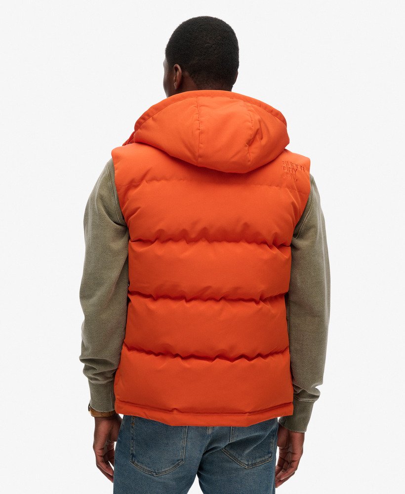 mens Everest Hooded Puffer Gilet in Pureed Pumpkin Orange