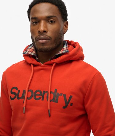 Core Logo Hoodie Image 3