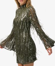 Fringe Sequin Mini Dress