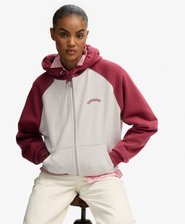 Sweat à capuche zippé Essential Logo Raglan