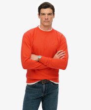 Essential Logo Raglan Crew Sweatshirt