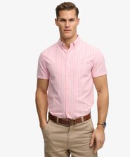 Preppy Oxford Short Sleeve Shirt