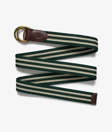 Heritage Stripe Webbing Belt Image 2