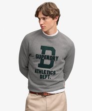 Athletic Felt Applique Crew Neck Sweatshirt