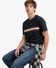 Camiseta Outdoor Stripe Logo Corte Relajado