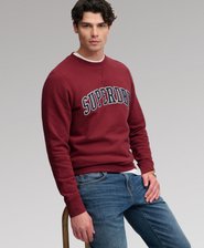 Athletic Applique Relaxed Crew Sweatshirt