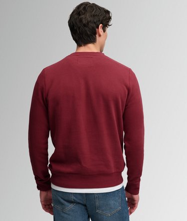 Athletic Applique Relaxed Crew Sweatshirt Image 5