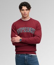 Athletic Applique Relaxed Crew Sweatshirt